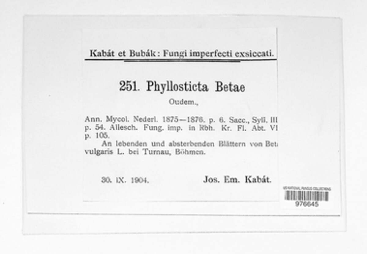 Pleospora bjoerlingii image